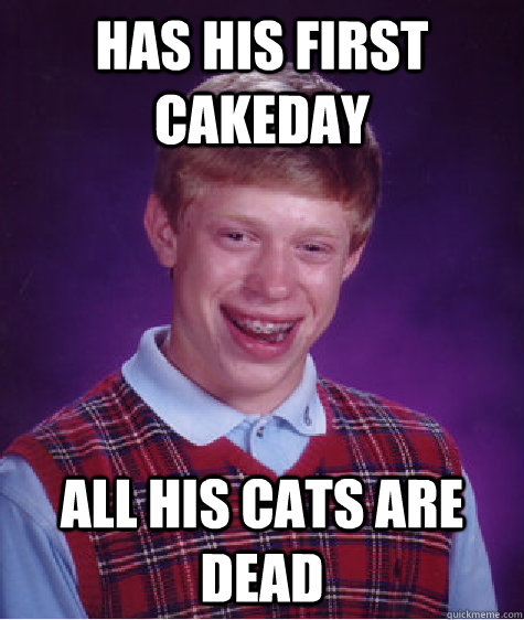 Has his first cakeday all his cats are dead  Bad Luck Brian