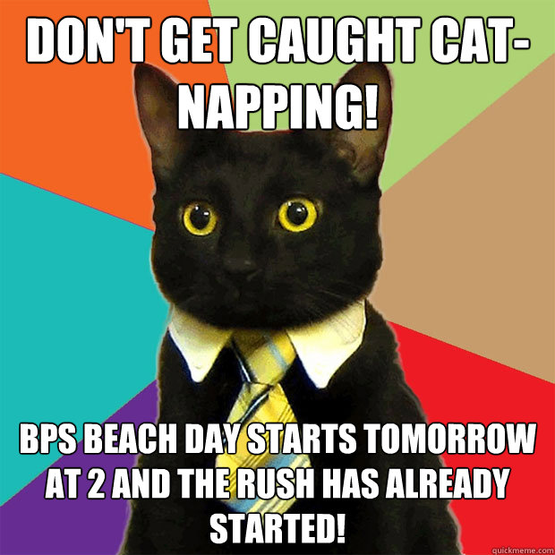 Don't get caught cat-napping! BPS Beach Day starts tomorrow at 2 and the rush has already started!  Business Cat