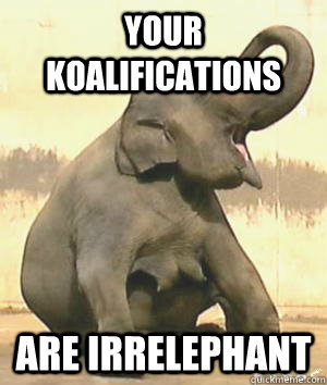 Your koalifications Are Irrelephant  Irrelephant