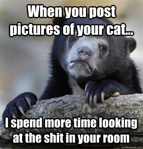 When you post pictures of your cat... I spend more time looking at the shit in your room - When you post pictures of your cat... I spend more time looking at the shit in your room  Confession Bear