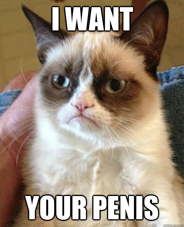 I WANT YOUR PENIS  Grumpy Cat