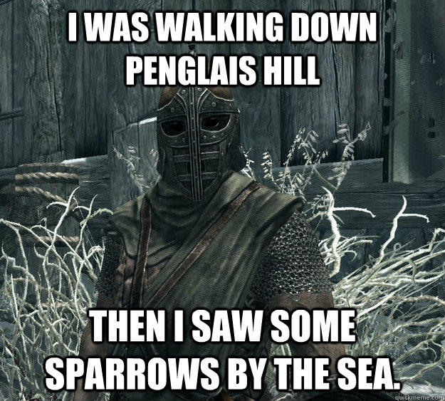 I WAS WALKING DOWN PENGLAIS HILL THEN I SAW SOME SPARROWS BY THE SEA. - I WAS WALKING DOWN PENGLAIS HILL THEN I SAW SOME SPARROWS BY THE SEA.  Skyrim Guard