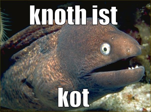 KNOTH IST KOT Bad Joke Eel