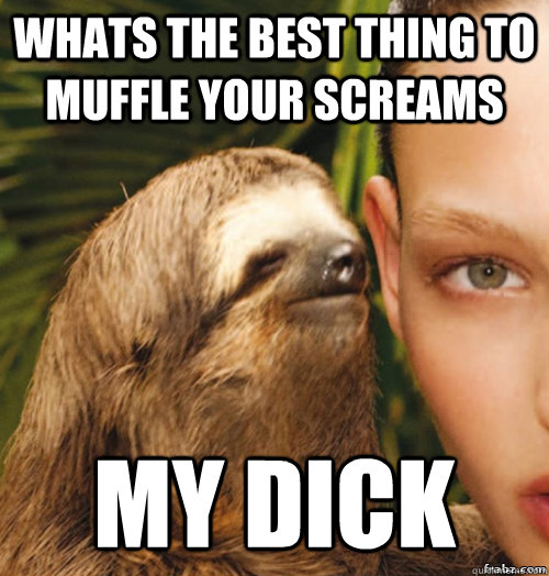 whats the best thing to muffle your screams my dick  rape sloth