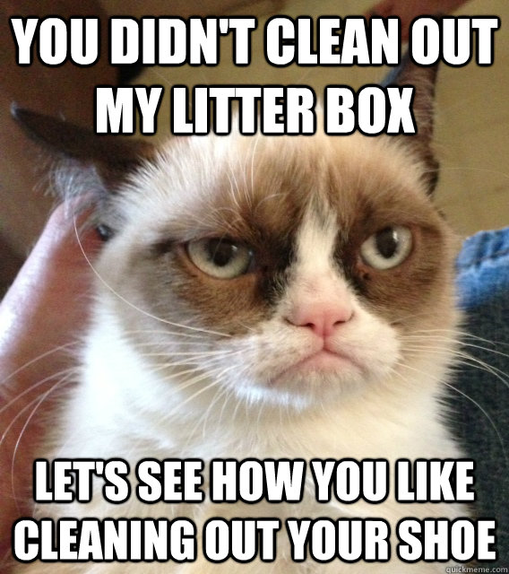 You didn't clean out my litter box Let's see how you like cleaning out your shoe - You didn't clean out my litter box Let's see how you like cleaning out your shoe  Misc