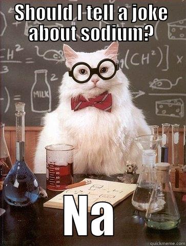 SHOULD I TELL A JOKE ABOUT SODIUM? NA Chemistry Cat