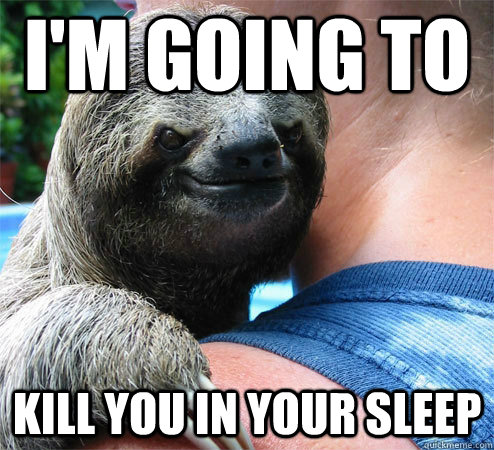 I'm going to Kill you in your sleep  Suspiciously Evil Sloth