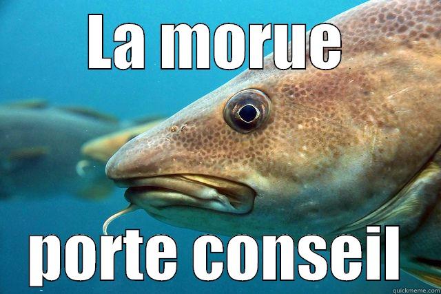 LA MORUE PORTE CONSEIL Misc