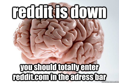 reddit is down you should totally enter reddit.com in the adress bar  - reddit is down you should totally enter reddit.com in the adress bar   Scumbag Brain