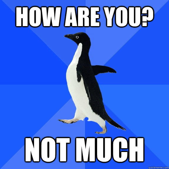 How are you? not much  Socially Awkward Penguin