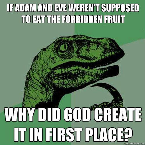 if Adam and Eve weren't supposed to eat the forbidden fruit why did god create it in first place? - if Adam and Eve weren't supposed to eat the forbidden fruit why did god create it in first place?  Philosoraptor