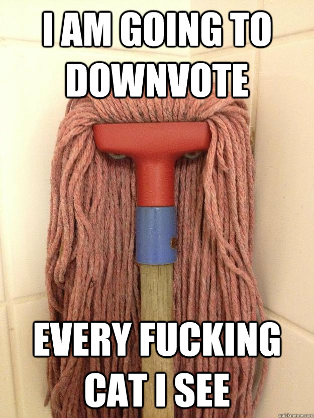 I AM GOING TO DOWNVOTE EVERY FUCKING CAT I SEE  Insanity Mop