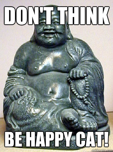 don't think be happy cat!  ADVICE BUDDHA