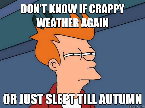 Don't know if crappy weather again or just slept till autumn  Futurama Fry