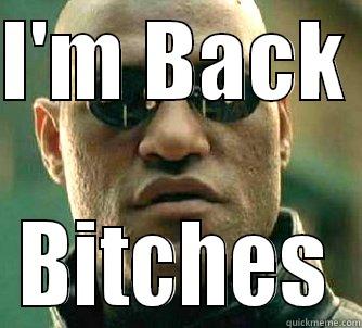 I'M BACK  BITCHES Matrix Morpheus