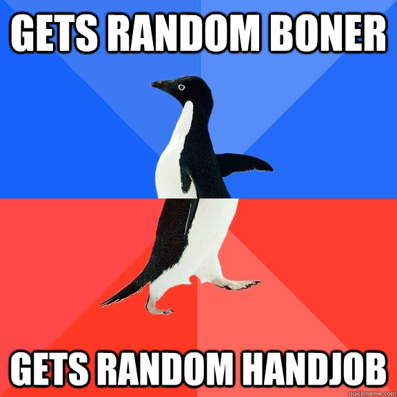 Gets random boner Gets random handjob  Socially Awkward Awesome Penguin