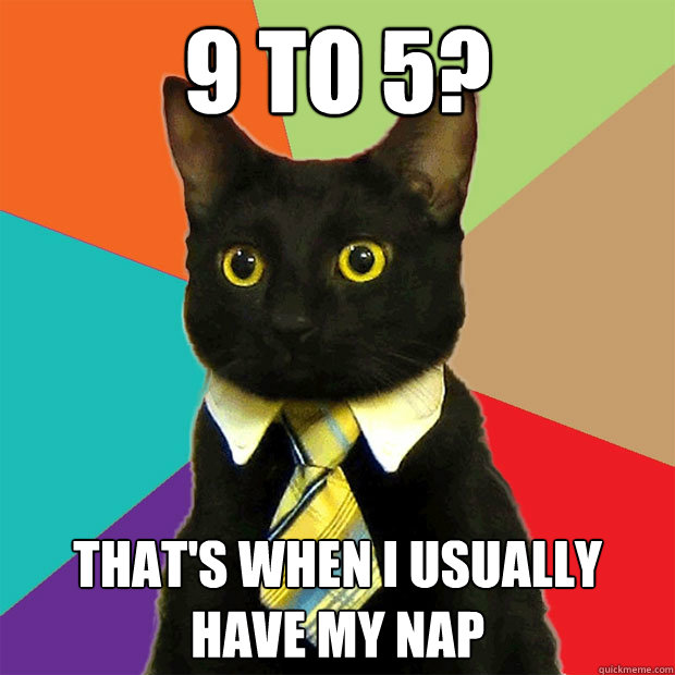 9 to 5? That's when I usually have my nap - 9 to 5? That's when I usually have my nap  Business Cat