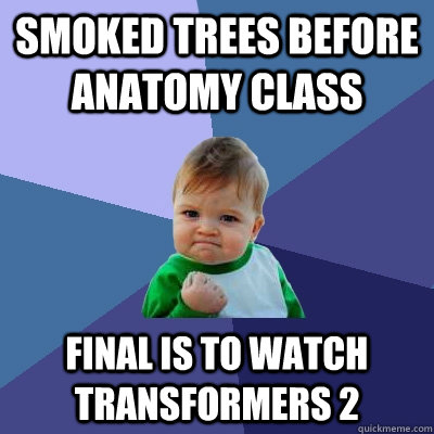 Smoked Trees before Anatomy Class Final is to watch transformers 2  Success Kid