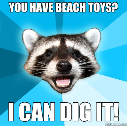 YOU HAVE BEACH TOYS? I CAN DIG IT! - YOU HAVE BEACH TOYS? I CAN DIG IT!  Lame Pun Coon