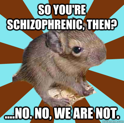 So you're schizophrenic, then? ....No. No, we are not.  