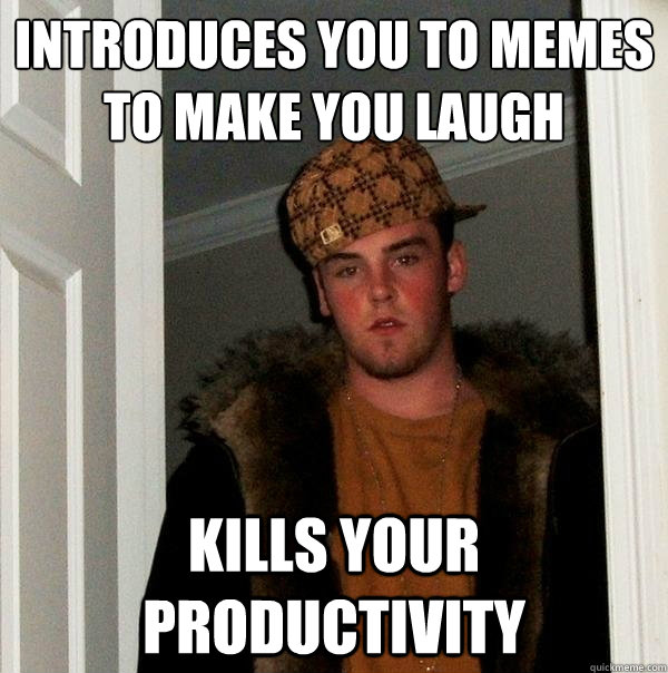 Introduces you to memes to make you laugh kills your productivity  Scumbag Steve