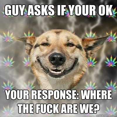 Guy asks if your ok Your response: Where the fuck are we?  Stoner Dog