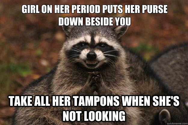 Girl on her period puts her purse down beside you Take all her tampons when she's not looking  Evil Plotting Raccoon