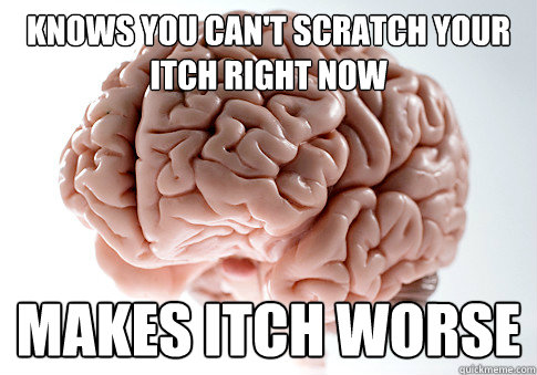 knows you can't scratch your itch right now makes itch worse  Scumbag Brain