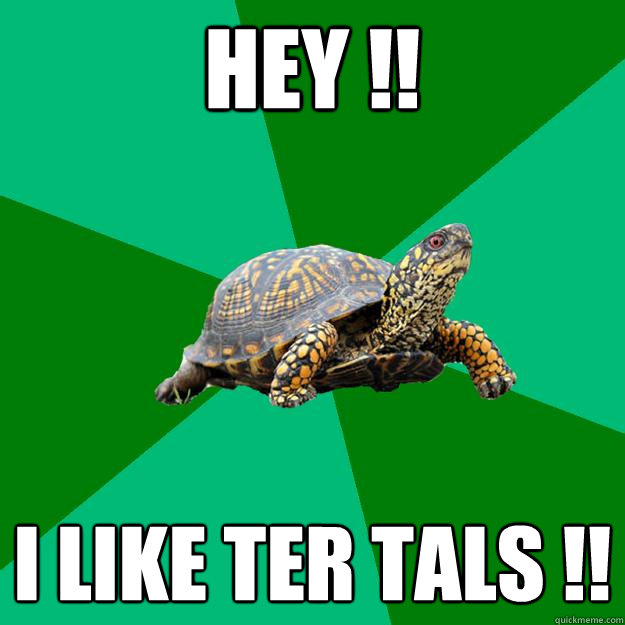 HEY !! I LIKE Ter talS !!  Torrenting Turtle