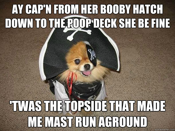 ay Cap'n from her booby hatch down to the poop deck she be fine 'twas the topside that made me mast run aground  