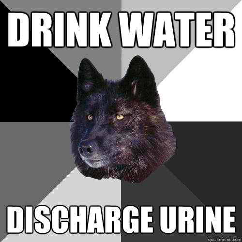 Drink Water Discharge Urine  Sanity Wolf