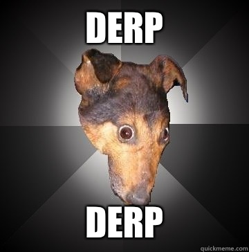 DERP DERP  Depression Dog