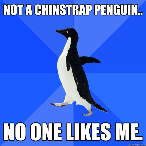 Not a chinstrap penguin.. no one likes me.  Socially Awkward Penguin