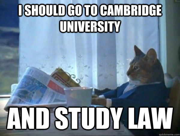 I should go to cambridge university and study law - I should go to cambridge university and study law  morning realization newspaper cat meme