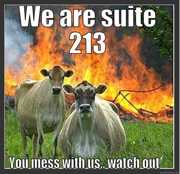 suite 213 - WE ARE SUITE 213 YOU MESS WITH US.. WATCH OUT     Evil cows