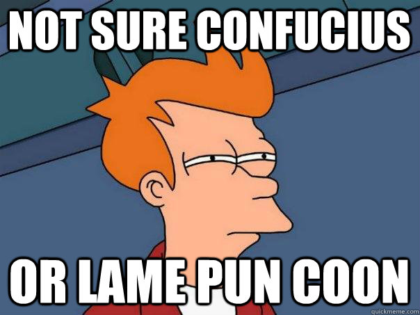 Not sure confucius Or lame pun coon  Futurama Fry