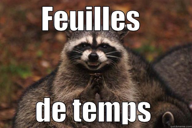 FEUILLES  DE TEMPS Evil Plotting Raccoon