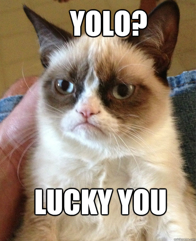     YOLO?  lucky you  Grumpy Cat