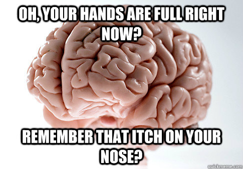 Oh, your hands are full right now? Remember that itch on your nose?  Scumbag Brain