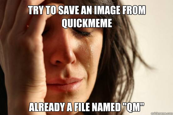 Try to save an image from quickmeme already a file named 