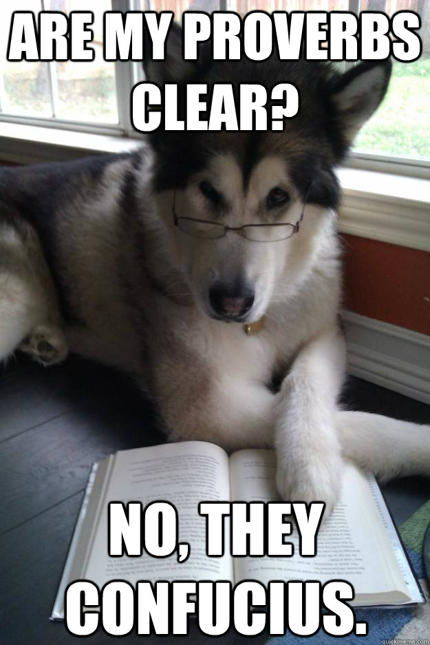 Are my proverbs clear? No, they Confucius.  - Are my proverbs clear? No, they Confucius.   Condescending Literary Pun Dog