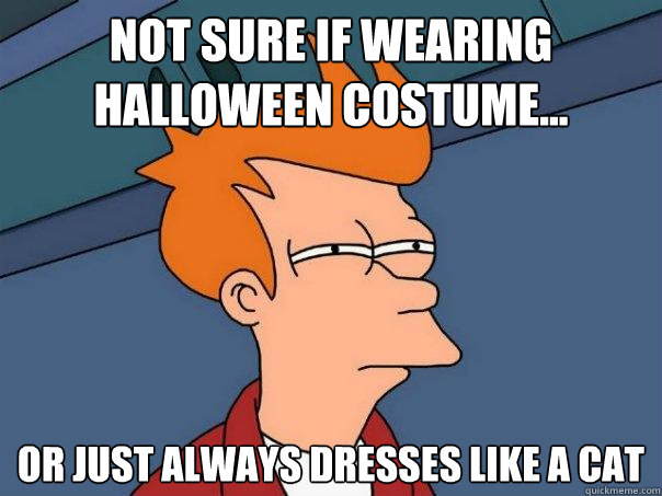 Not sure if wearing Halloween costume... or just always dresses like a cat  Futurama Fry