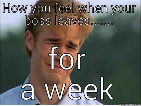 HOW YOU FEEL WHEN YOUR BOSS LEAVES....... FOR A WEEK 1990s Problems