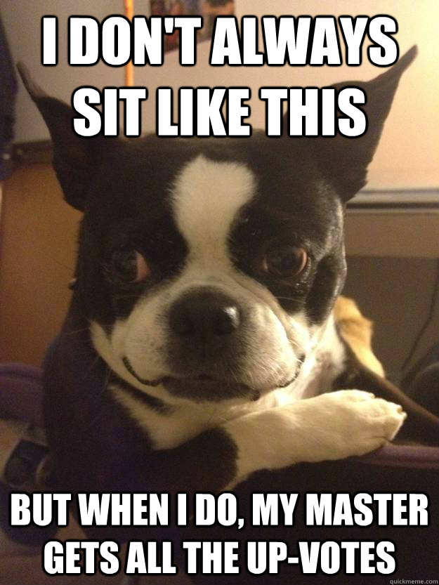 I don't always sit like this But when I do, my master gets all the up-votes  The Most Interesting Dog in the World