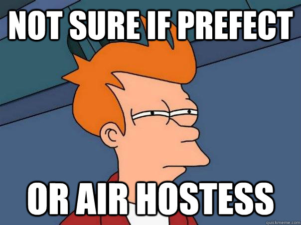 Not sure if prefect Or air hostess  Futurama Fry