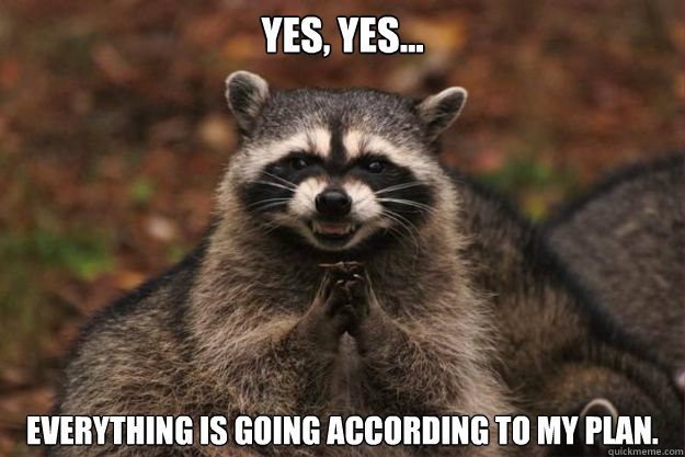 Yes, Yes... Everything is going according to my plan. - Yes, Yes... Everything is going according to my plan.  Evil Plotting Raccoon