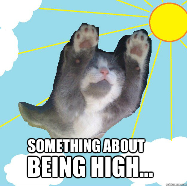 Something about Being high...   Whoosh cat