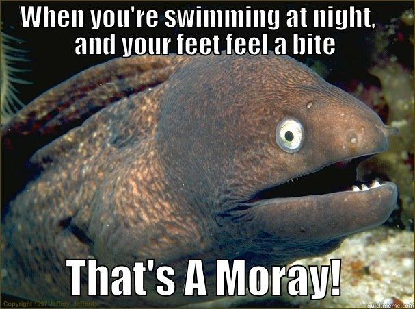 WHEN YOU'RE SWIMMING AT NIGHT,    AND YOUR FEET FEEL A BITE          THAT'S A MORAY!         Bad Joke Eel