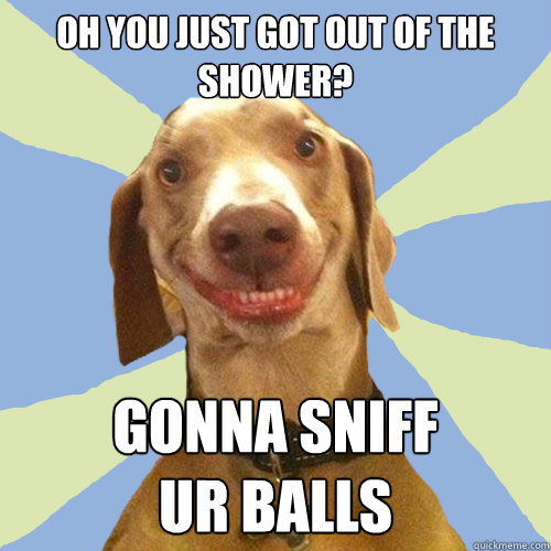 oh you just got out of the shower? gonna sniff 
ur balls  Disgusting Doggy