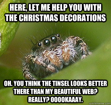 Here, let me help you with the Christmas decorations Oh. You think the tinsel looks better there than my beautiful web? Really? Ooookaaay.  Misunderstood Spider